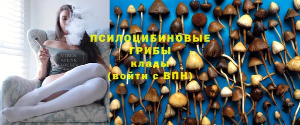 ГАЛЛЮЦИНОГЕННЫЕ ГРИБЫ Володарск