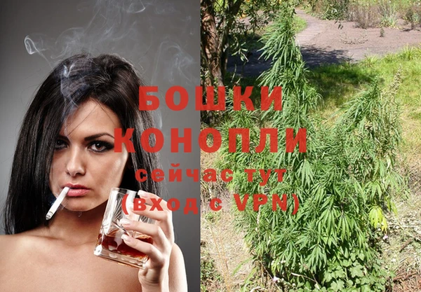 ГАЛЛЮЦИНОГЕННЫЕ ГРИБЫ Володарск