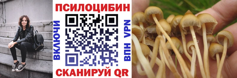 Купить Полысаево Псилоцибиновые грибы мухоморы