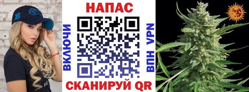 Купить где  Полысаево  Бошки Шишки план 